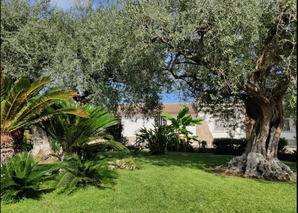 Villa Antonella Augusta Exterior foto